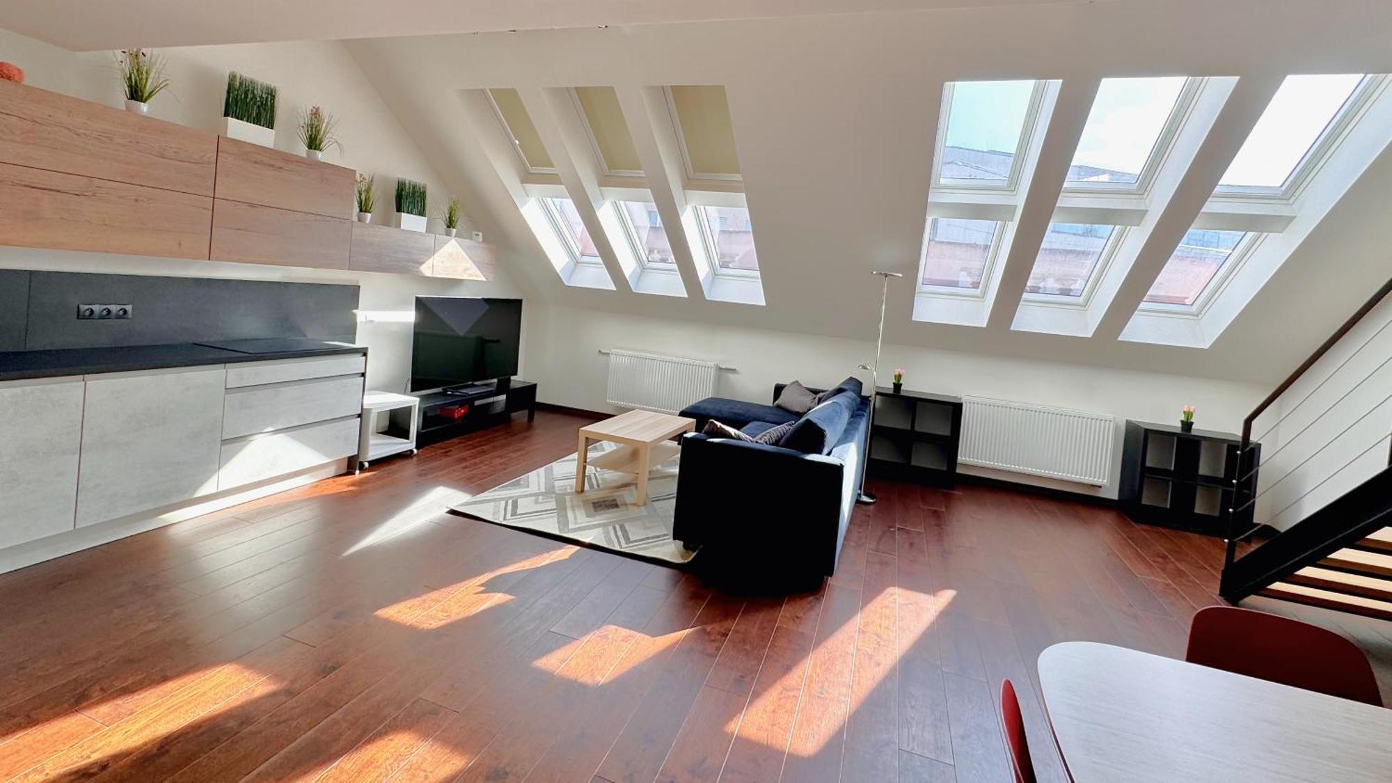Apartment Loft Jecna 43, *